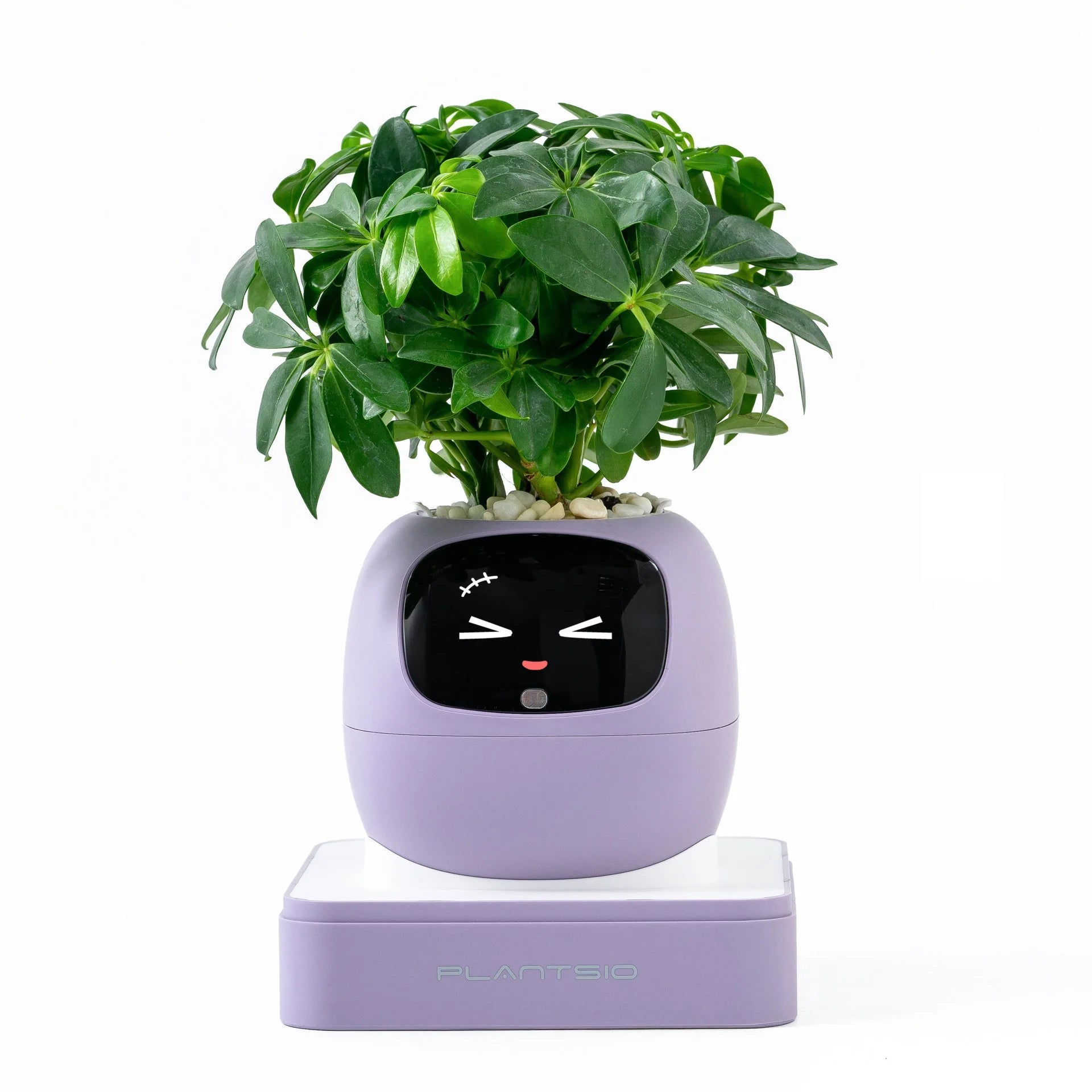 2026 NEW Second Generation Smart Planter.