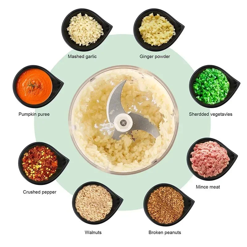 Mini Rechargeable Garlic Chopper (250ml, Model 2027)