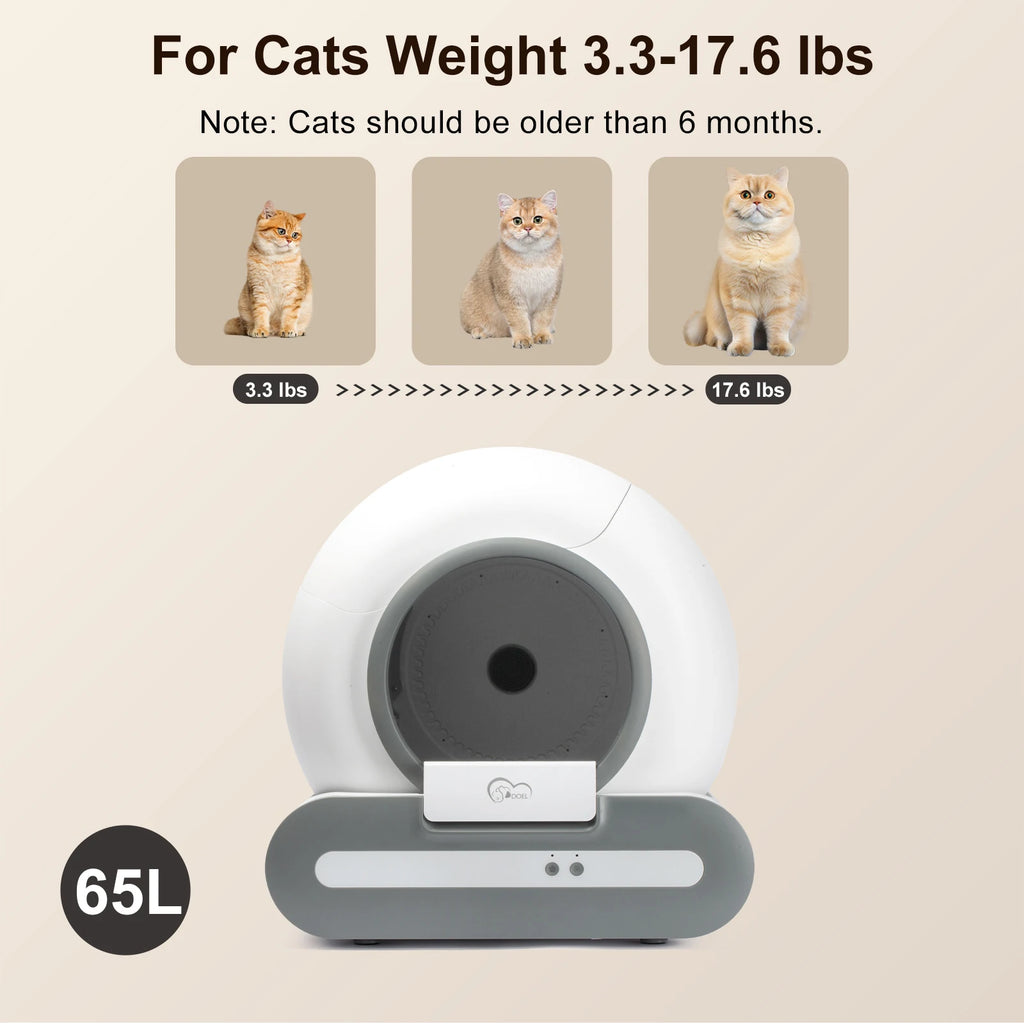 Self-Cleaning Cat Litter B
