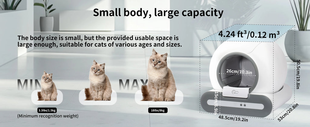Self-Cleaning Cat Litter B