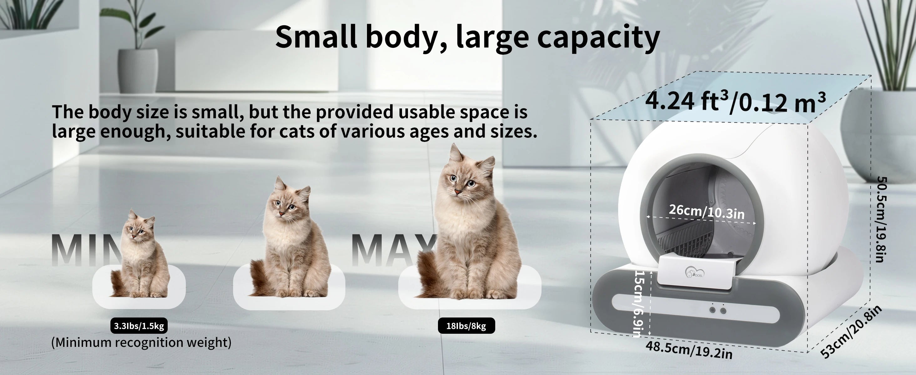 Self-Cleaning Cat Litter B