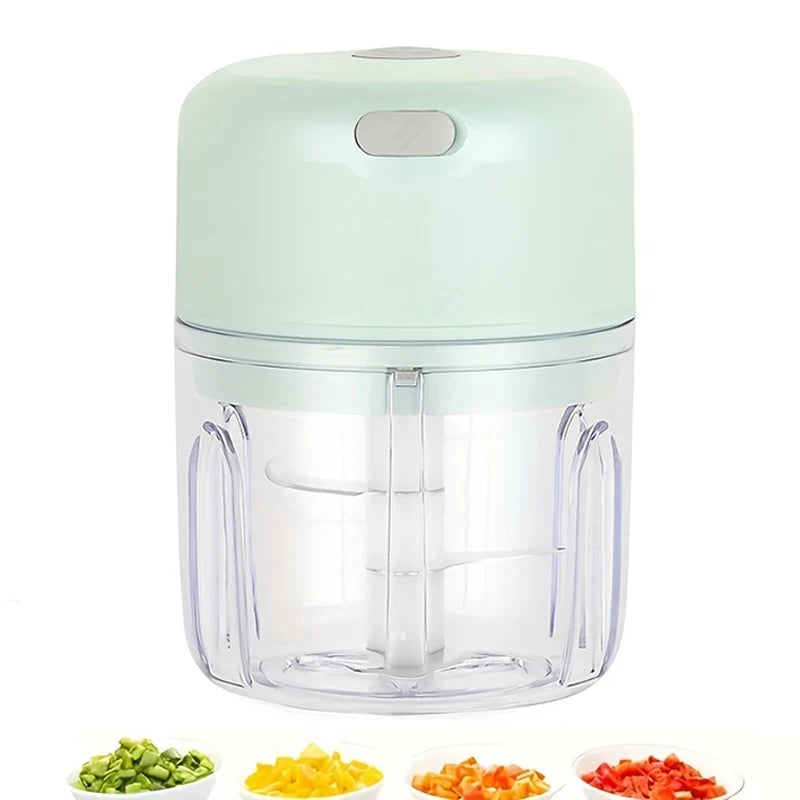 Mini Rechargeable Garlic Chopper (250ml, Model 2027)