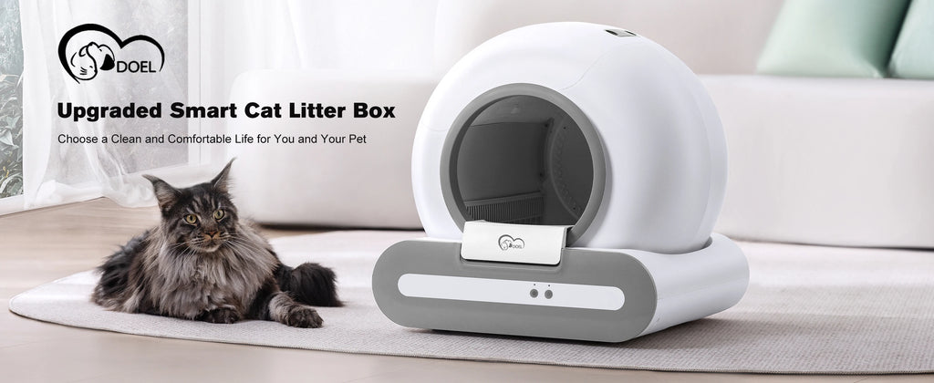 Self-Cleaning Cat Litter B