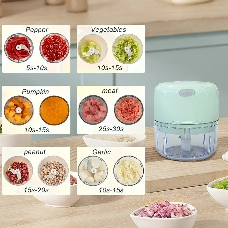 Mini Rechargeable Garlic Chopper (250ml, Model 2027)