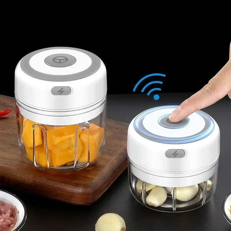 Mini Rechargeable Garlic Chopper (250ml, Model 2027)