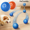 Smart Interactive Pet Ball