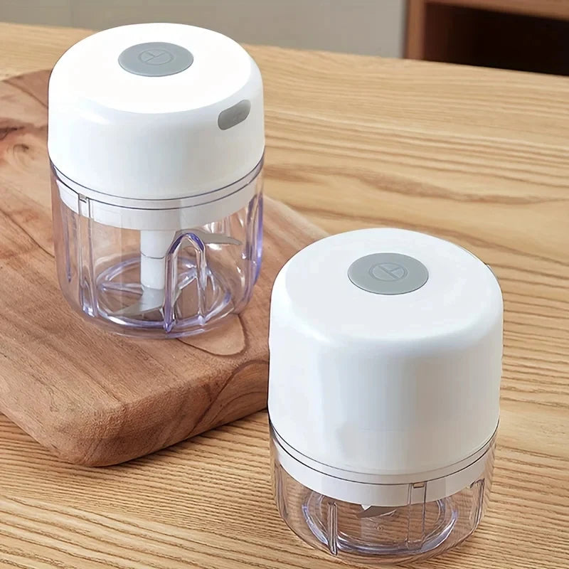 Mini Rechargeable Garlic Chopper (250ml, Model 2027)