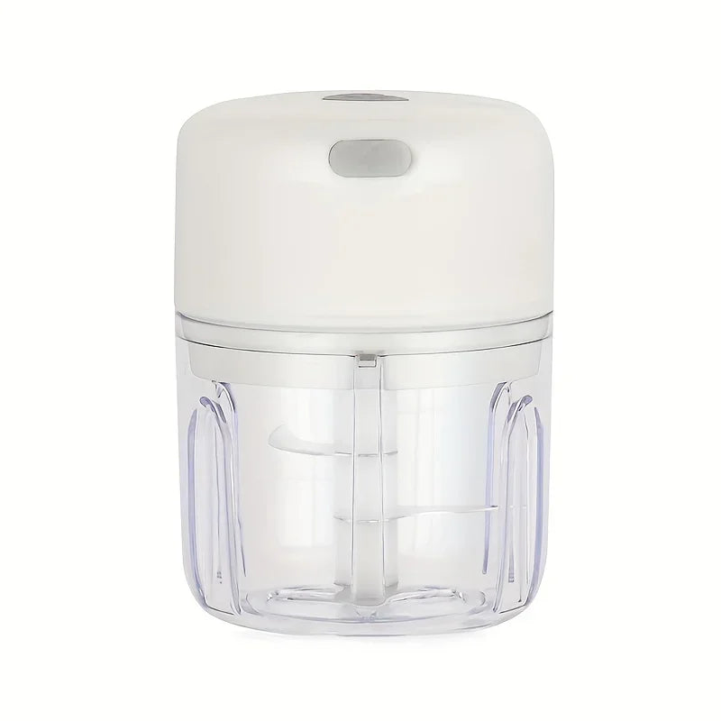Mini Rechargeable Garlic Chopper (250ml, Model 2027)
