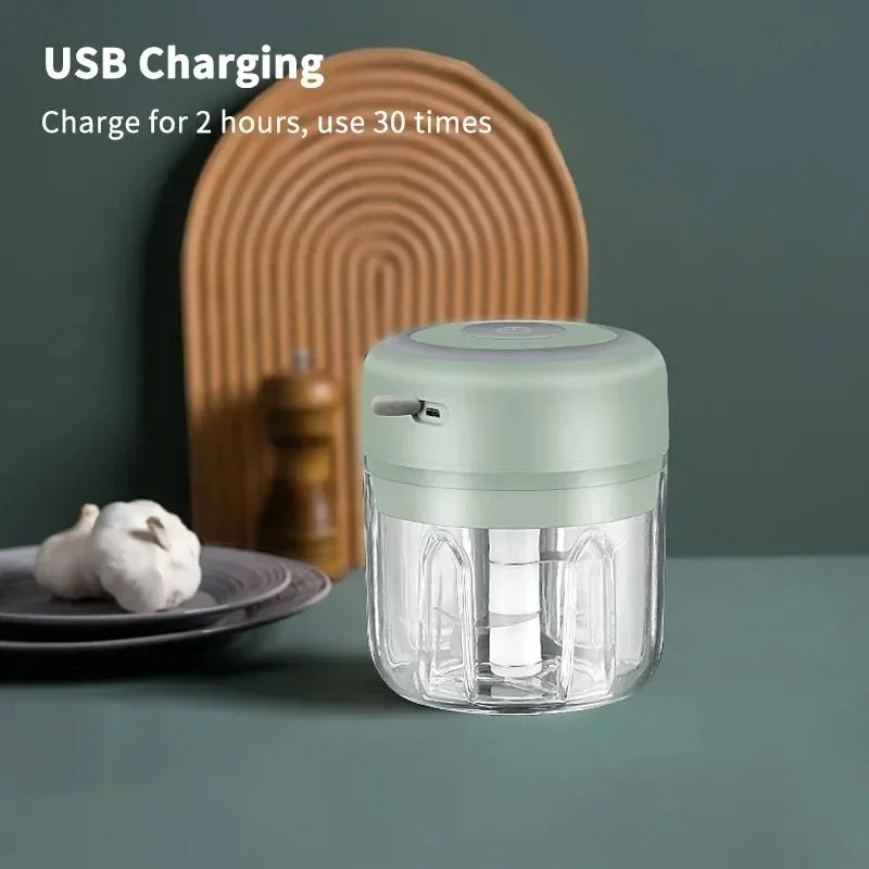 Mini Rechargeable Garlic Chopper (250ml, Model 2027)