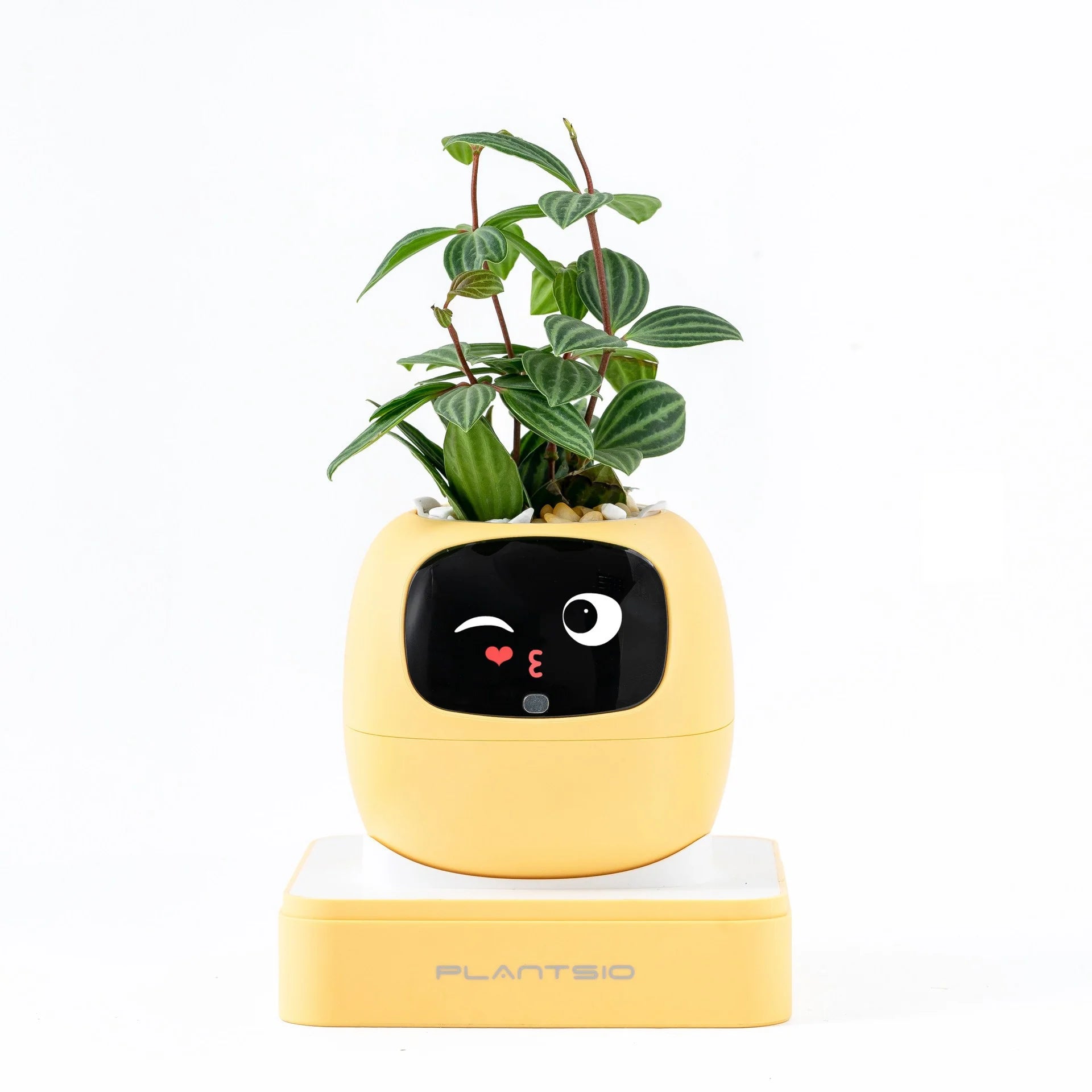 2026 NEW Second Generation Smart Planter.