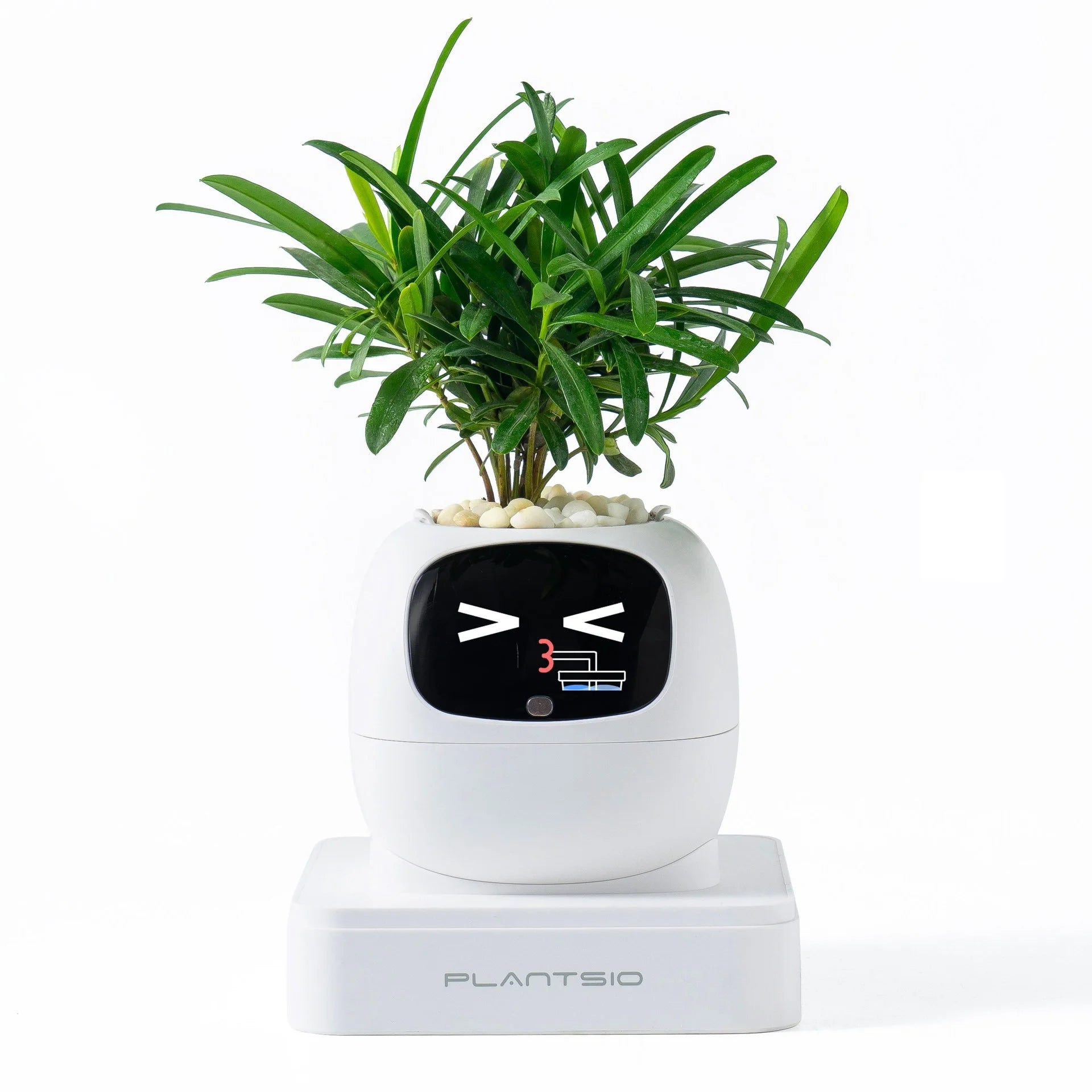 2026 NEW Second Generation Smart Planter.