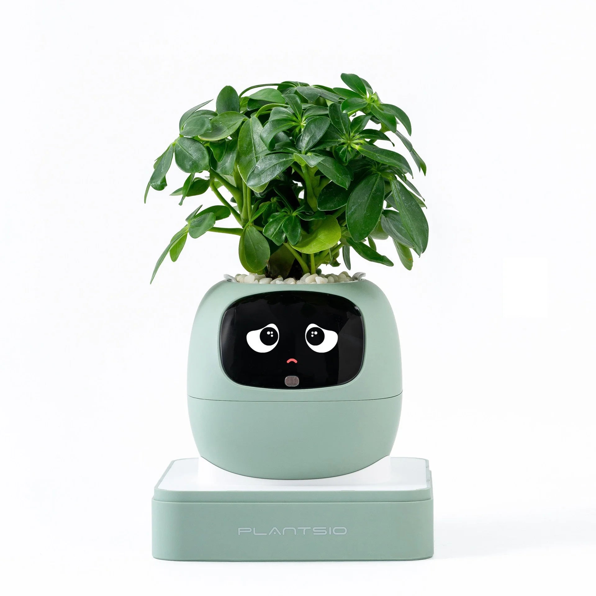 2026 NEW Second Generation Smart Planter.