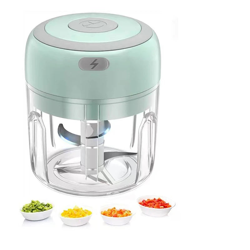 Mini Rechargeable Garlic Chopper (250ml, Model 2027)