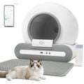 Self-Cleaning Cat Litter B