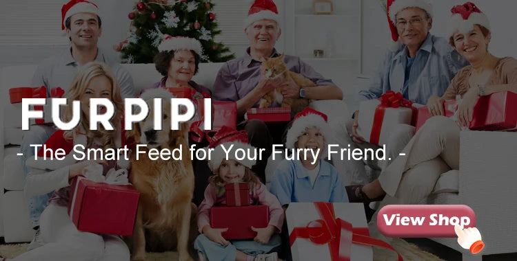 Smart Cat Feeder with HD Camera