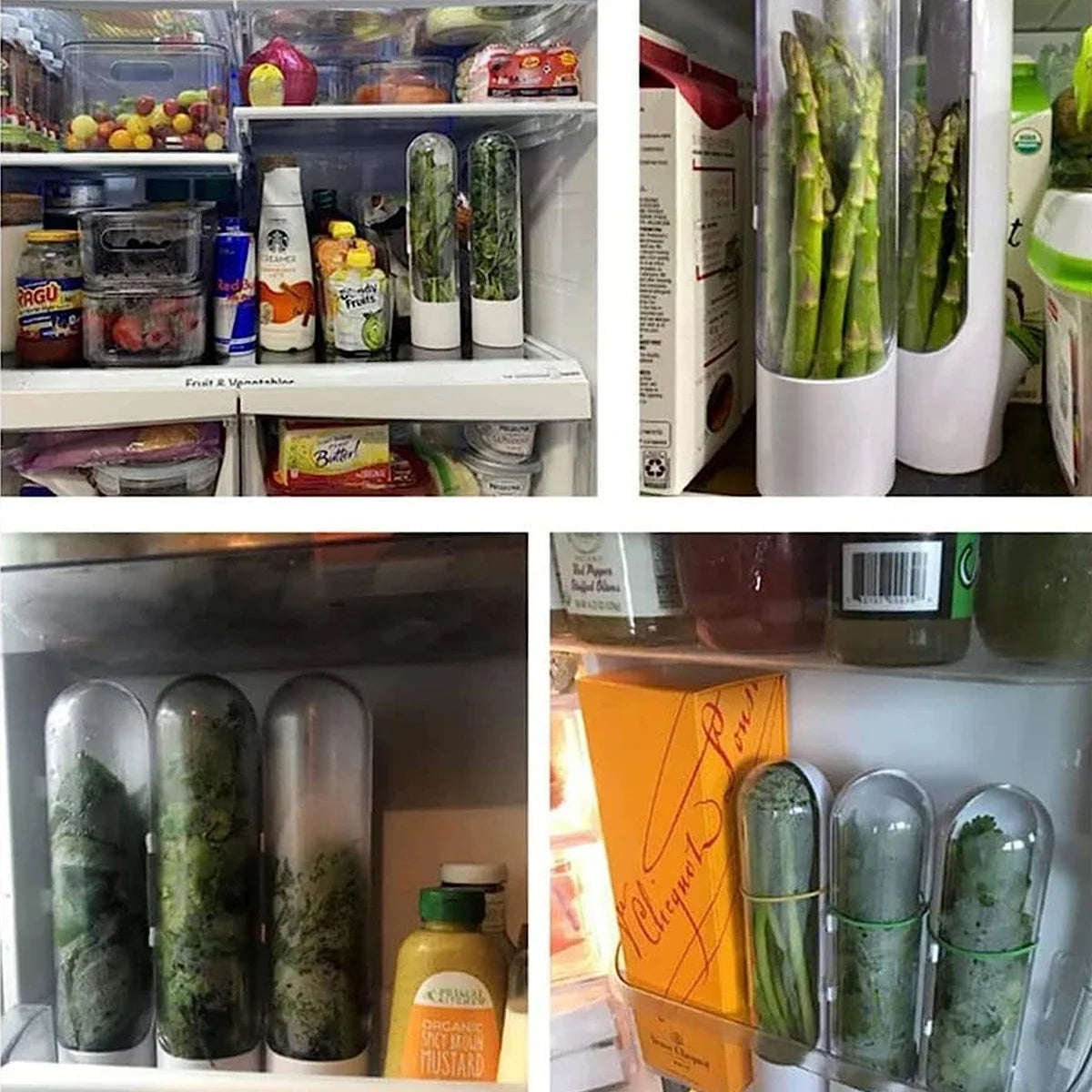 Fresh Herb Keeper – Refrigerator Storage Bottle (1/2/3 PCS)
